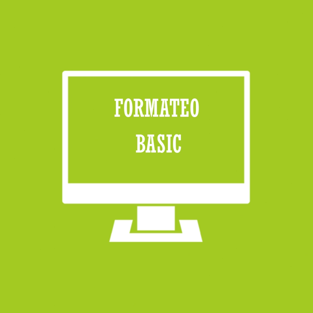 Formateo Basic - Micro Computer