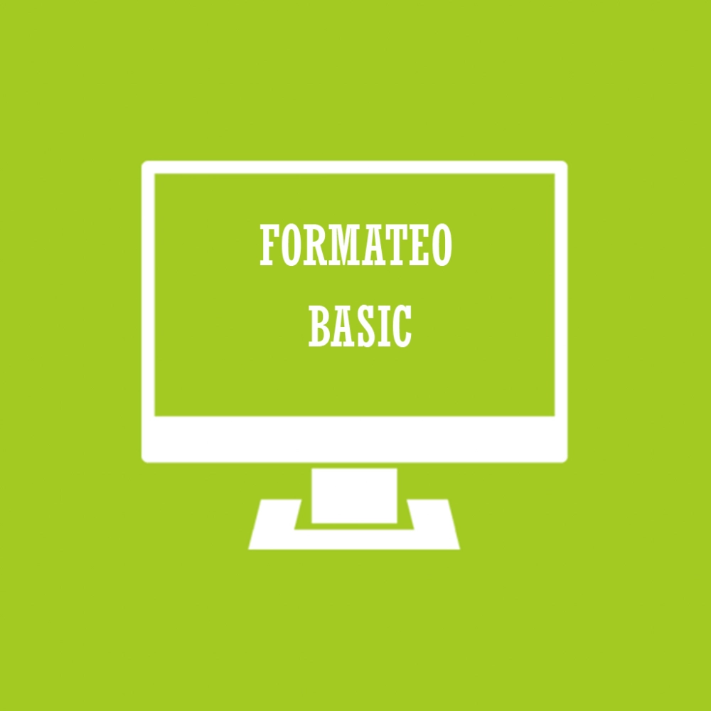 Formateo Basic